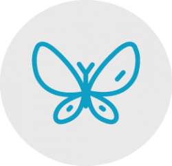 butterflies_icon